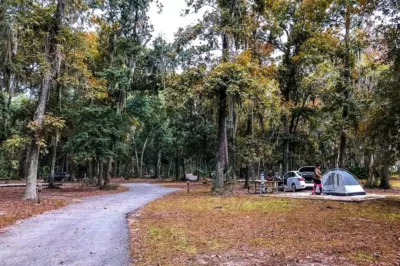 Fort McAllister State Park Campground Review: Nature Meets History