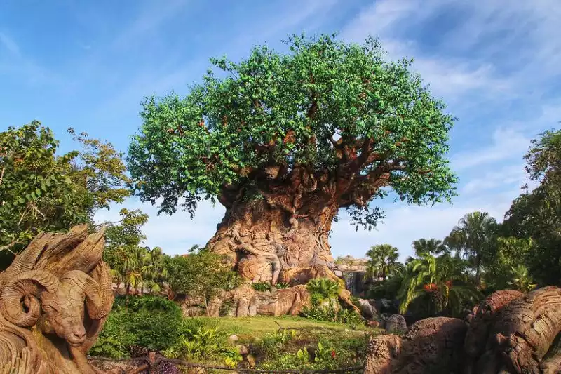 Disneys Animal Kingdom Oasis Tree Of Life