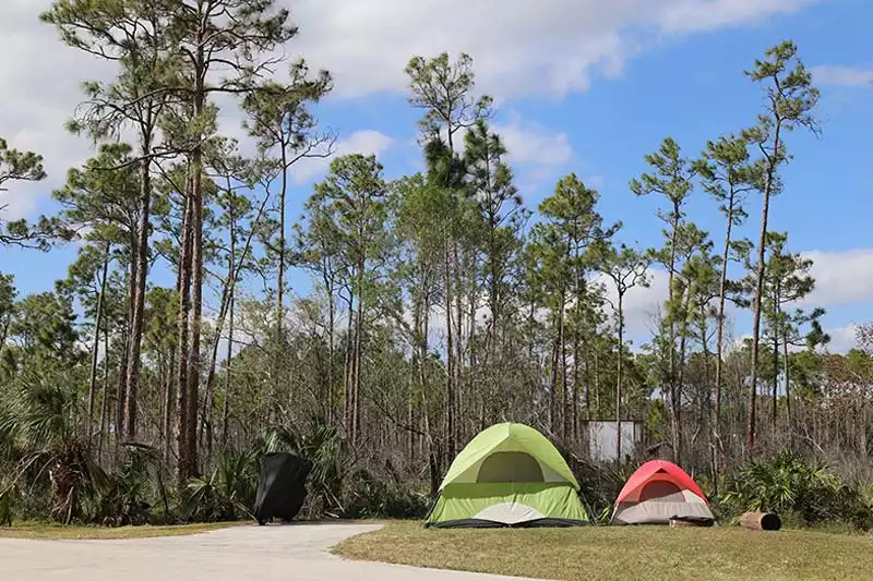 Everglades National Park Camping Long Pine Key