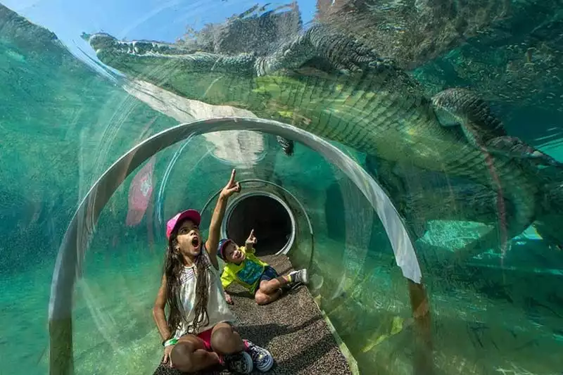 Miami Zoo Tunnel