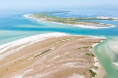 Caladesi Island State Park: A Journey into Natural Wonders in Florida