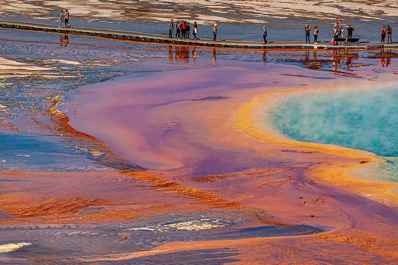 Yellowstone National Park Grand Prismatic Spring Details
