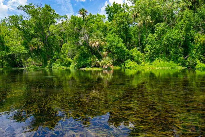 Alexander Springs Florida What To See