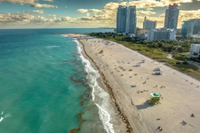 Top 4 Miami Party Beaches: Ultimate Fun in the Sun