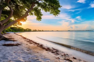 Best 10 Sarasota Beaches You Can’t Miss: Sunkissed and Sea Breezed