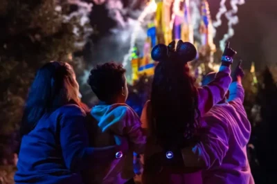 Disney Magic Bands: Your Passport to a Seamless Disneyland Experience